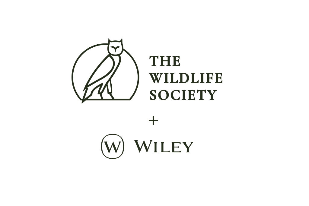 Wiley Article