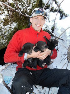 Lead author of the study Sean Murphy holds three black bear cubs.