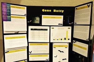 Science fair project