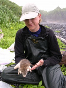 Study author Carolyn Kurle holds a Norway rat on the Aleutian Islands in Alaska. Kurle analyzed stable isotopes to determine how the omnivorous rodents survived on the islands without many year-round sources of meat. Image Credit: Shauna Reisewitz