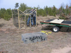 Wildlife technicians remove cowbirds from a modified Australian crow trap as part of recovery efforts for the endangered Kirtland’s warbler. An average of 200 cowbirds were removed in Wisconsin during each nesting season from 2008-2014, enabling the first successful nesting outside of Michigan in decades. The male Kirtland’s warbler has a distinctive bright yellow breast and song. Image Credit: USFWS, Joel Trick
