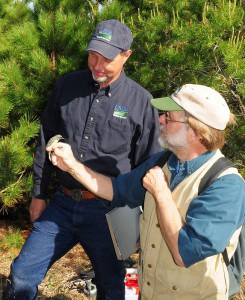 A Wildlife Services technician and partner get ready to release a Kirtland’s warbler after banding it. The project in Wisconsin is a collaborative effort of federal and state agencies and private industry, with strong volunteer support. Image Credit: USFWS, Joel Trick 