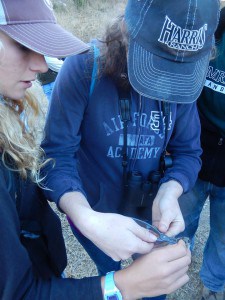 Students practice ear-tagging a mouse. As part of the Western Section field camp, students learned techniques like this combined with discussions, lectures and lab experience.