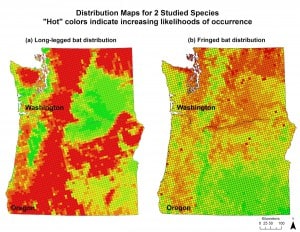 Distribution maps of two species Rodhouse and his colleagues studied in Oregon. Image Courtesy: Tom Rodhouse 