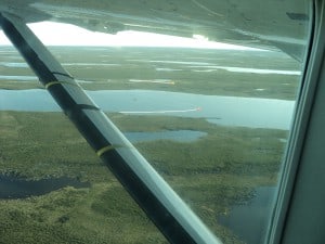 The view from a plane flying over Nunavut — the different tape markings represent different distances used in counting muskox. Image credit: Mitch Campbell