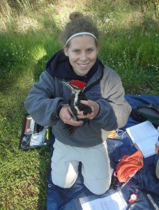 Researcher Erin Heller holds a pileated woodpecker. Image Credit: Erin L. Heller