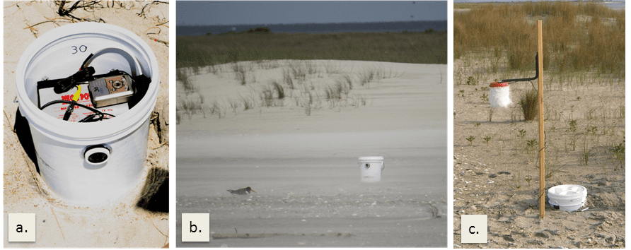 Video and audio recording equipment used to monitor incubating American oystercatchers and surrounding human activity at North Core Banks, Cape Lookout National Seashore in North Carolina. Image courtesy of Ted Simons. 