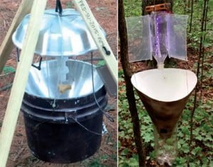 Commercially made twelve-volt mercury vapor black light traps such as the one on the left are heavy and cost between $200 and $500 dollars apiece. The LED light trap on the right is lighter and costs just under $30.  ©Entomological Society of America 