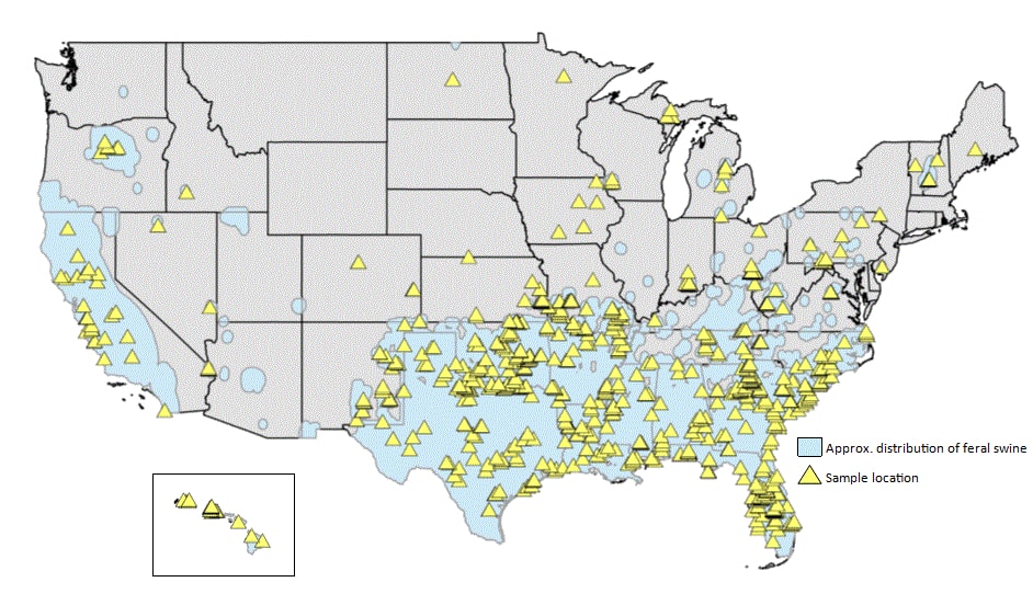 Map showing feral swine genetic sampling locations.  Wildlife Services experts partner with federal, state, and local agencies across the country to manage feral swine damage. ©USDA Wildlife Services