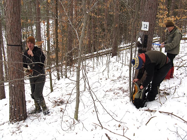Researchers with the New York Department of Environmental Conservation placed camera traps in five wildlife management units that were open to trapping as well as a total of eight areas that have been closed to trapping for about 65 years. The team placed beaver meat on the camera traps to attract fishers but, in the process, captured photos of several other species that were also drawn to the bait. ©New York Department of Environmental Conservation/Angela Fuller