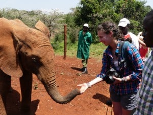 Emily visiting with an orphaned elephant at the David Sheldrick Wildlife Trust while studying spotted hyena behavior in Kenya last year.