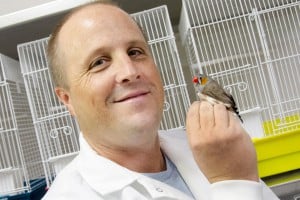 Lynn (Marty) Martin, an associate professor in the University of South Florida’s Department of Integrative Biology, holds a zebra finch. ©University of South Florida/USF Health 