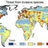 This map highlights regions across the world most threatened by invasive species. ©Jeffrey Dukes
