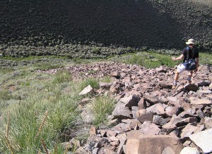 Erik Beever surveys a talus patch for evidence of pikas in the Wassuk Range in Nevada. ©Shana Weber