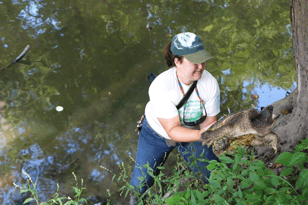 a.Conservation program specialist Claire Snyder (Friends of the Chicago River) works to safely release a common snapping turtle. ©Stacina Stagner, Communications Manager, Forest Preserves of Cook County