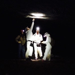 Researchers sample a bat to test for the fungus causing white-nose syndrome in a mine in the Midwest. ©J. Redell