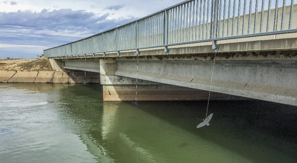 Bridge net protects jets, swallows but keeps water flowing - The Wildlife  Society