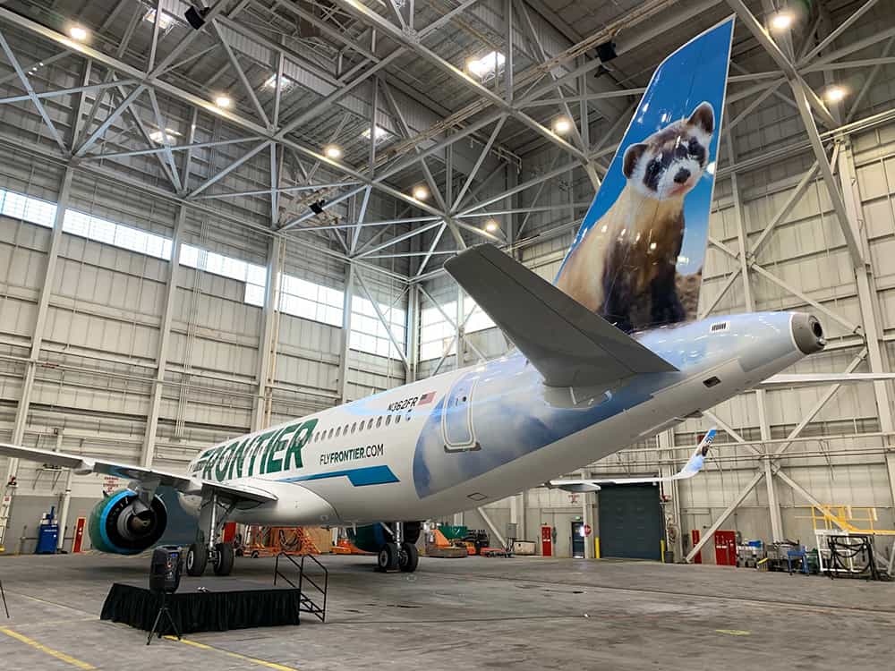 Who knew ferrets could fly? The Wildlife Society