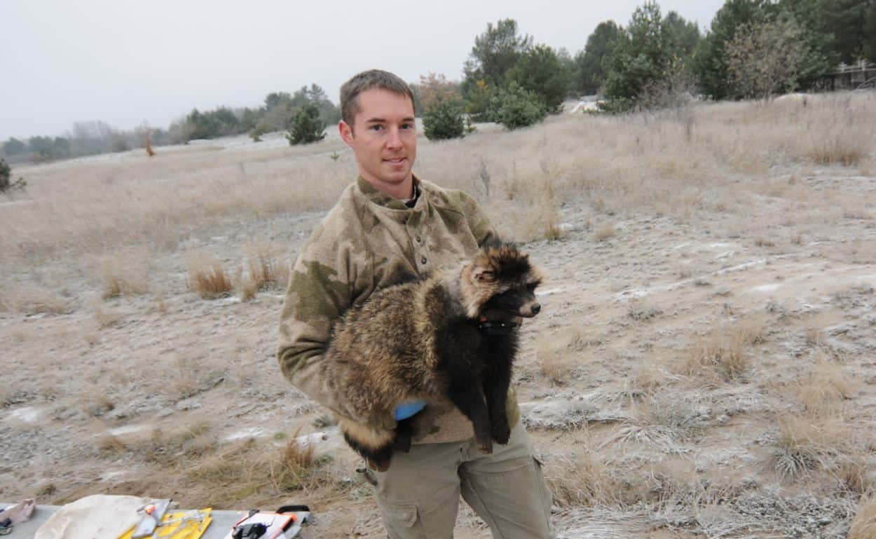 Q&A The effects of nuclear disasters on wildlife The Wildlife Society