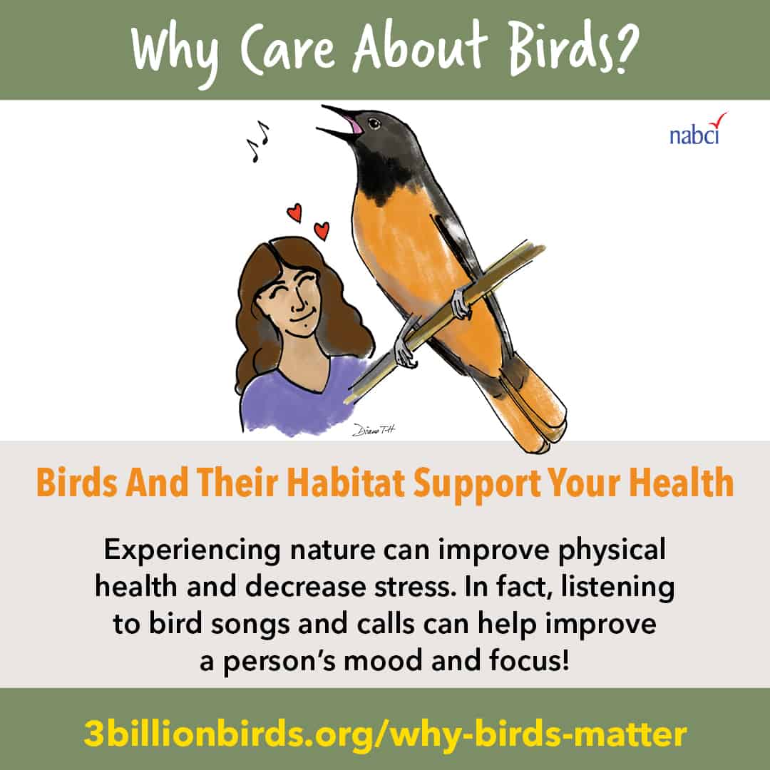 Campaign highlights birds’ benefits to humans The Wildlife Society