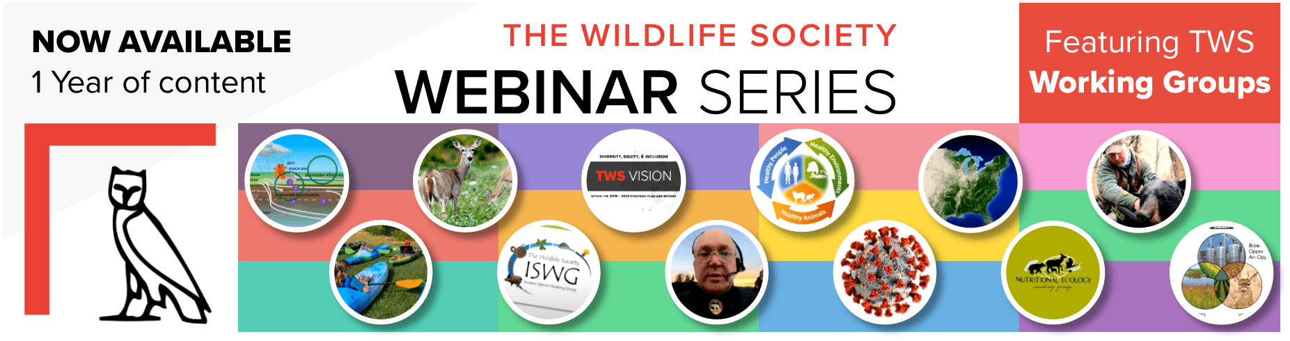 1 year of TWS Webinar content now available through our YouTube channel