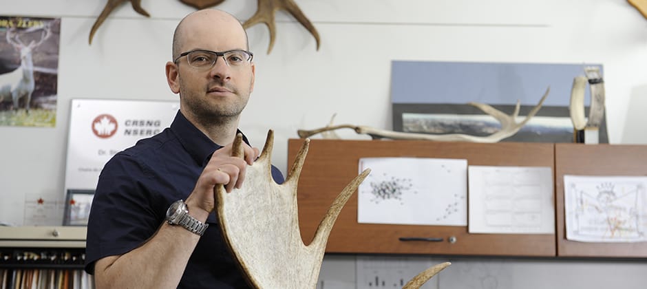 Steeve Côté named Wildlife Monographs editor-in-chief