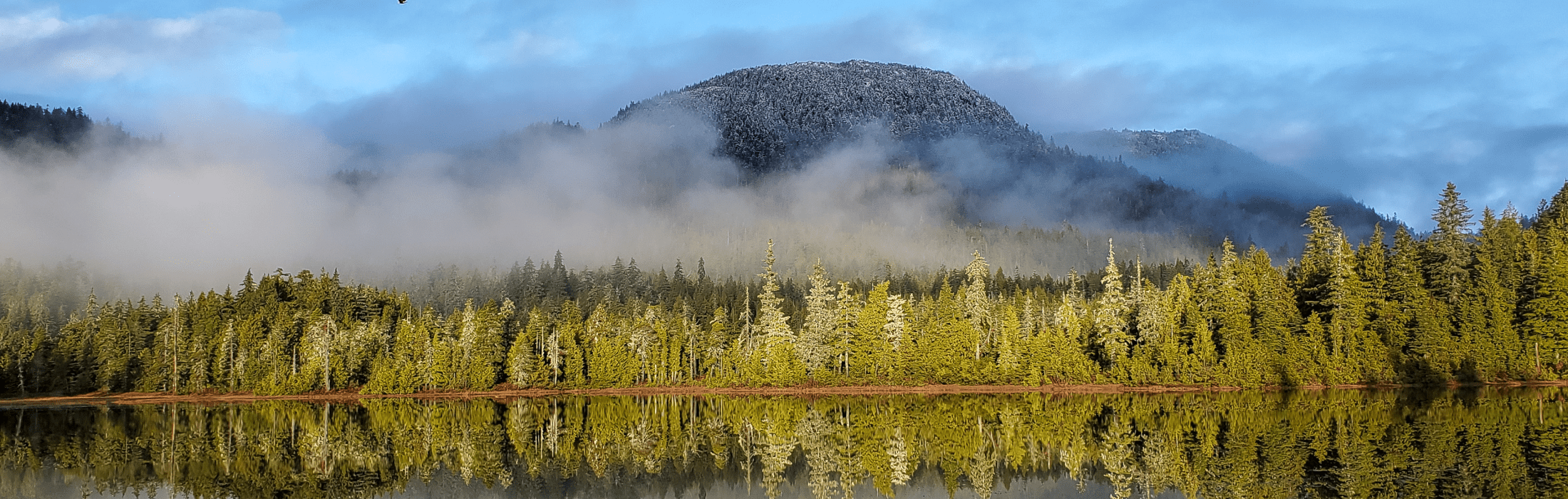 mountain with fog