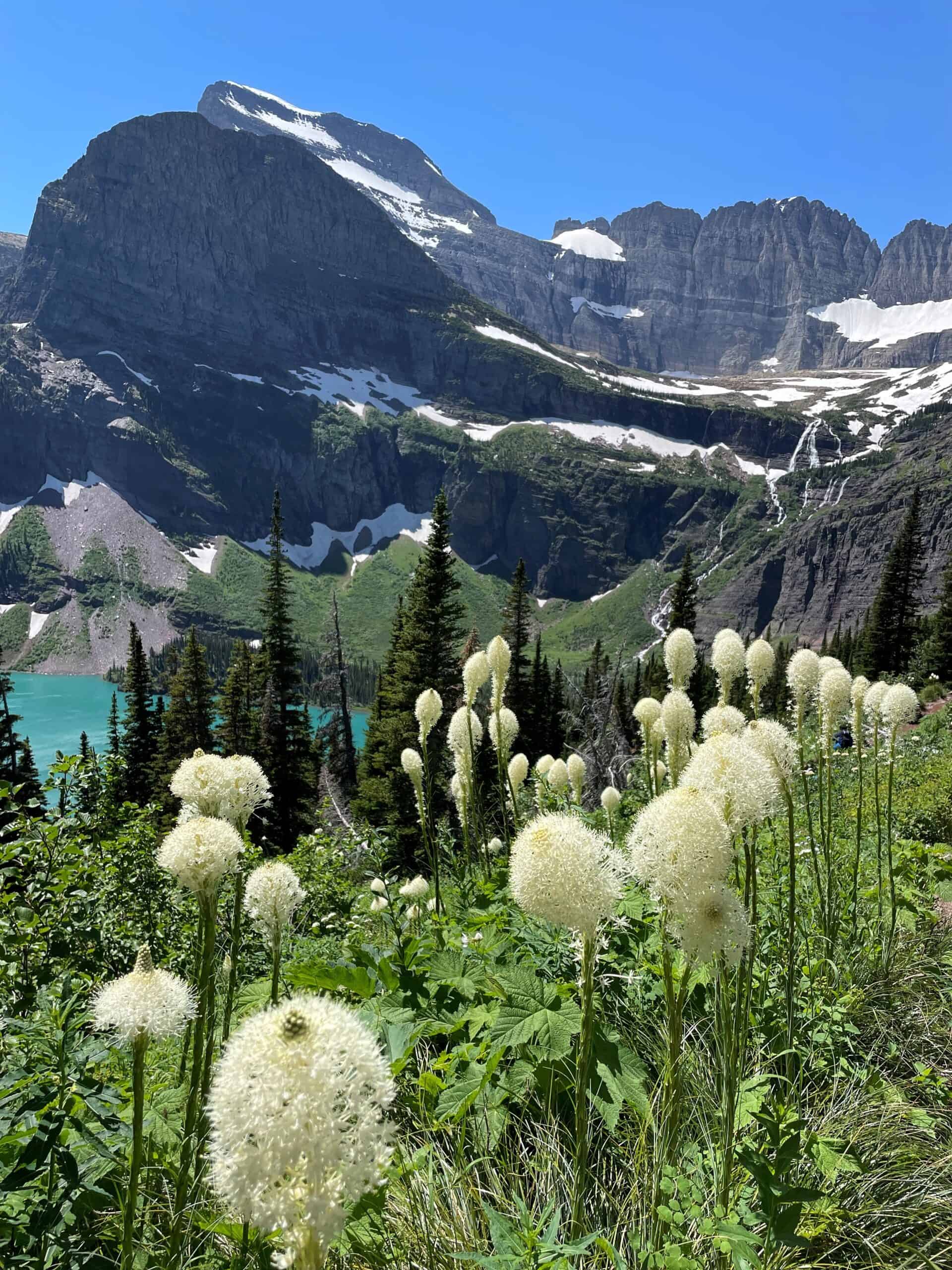 _Andrew Cox_Landscapes_Grinnell Glacier Trail, Glacier National Park