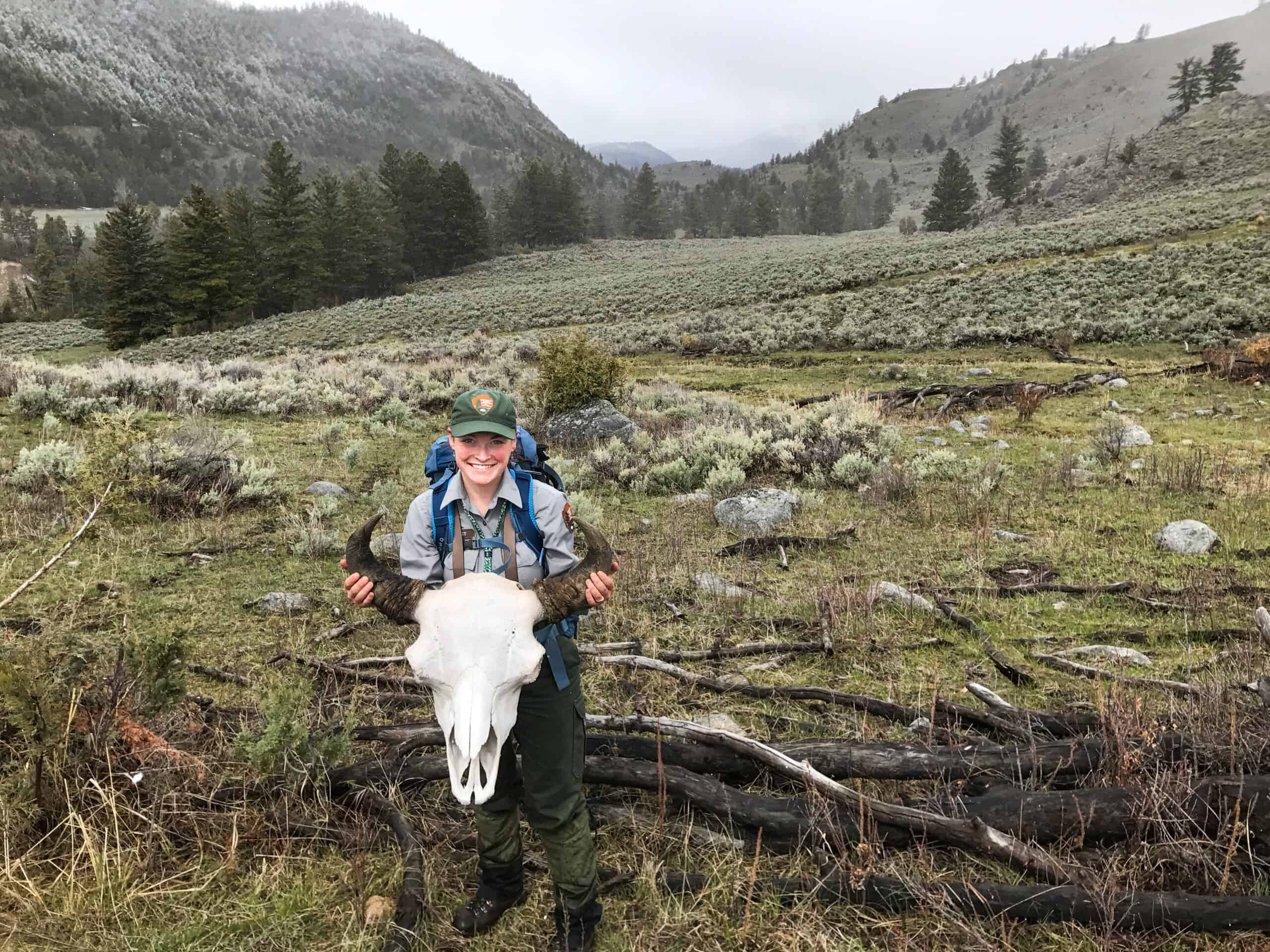 Anna Brose holds a bison skull in Yellowstone National Park while doing telemetry checks on collared bison in the park in 2017.