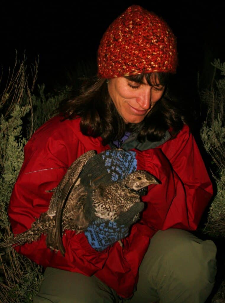 Lisette Waits receives Caesar Kleberg award - The Wildlife Society