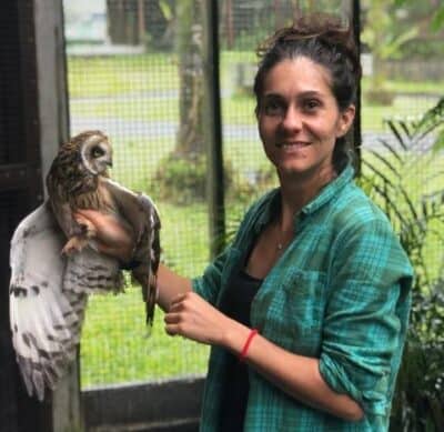 Endangered owls prey on endangered Hawaiian stilts - The Wildlife Society