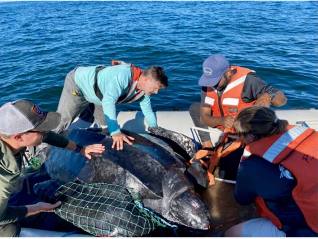 Downtown Cleveland: A conference experience not to miss - The Wildlife ...