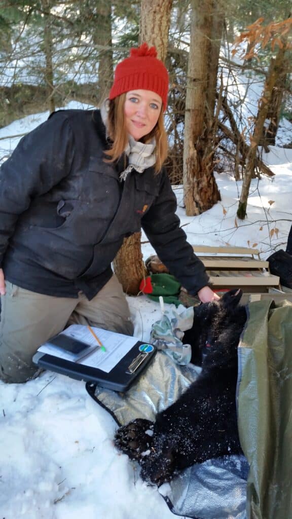 Krysten kneels next to a sedated black bear