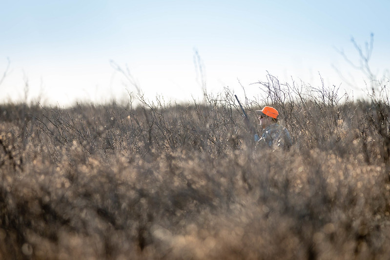 A hunter with a blaze orange hat and firearm in a field.