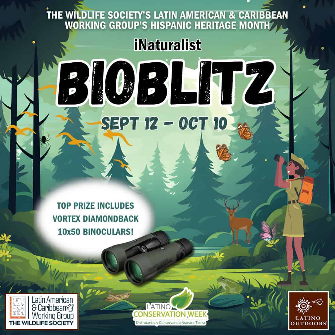 BioBlitz