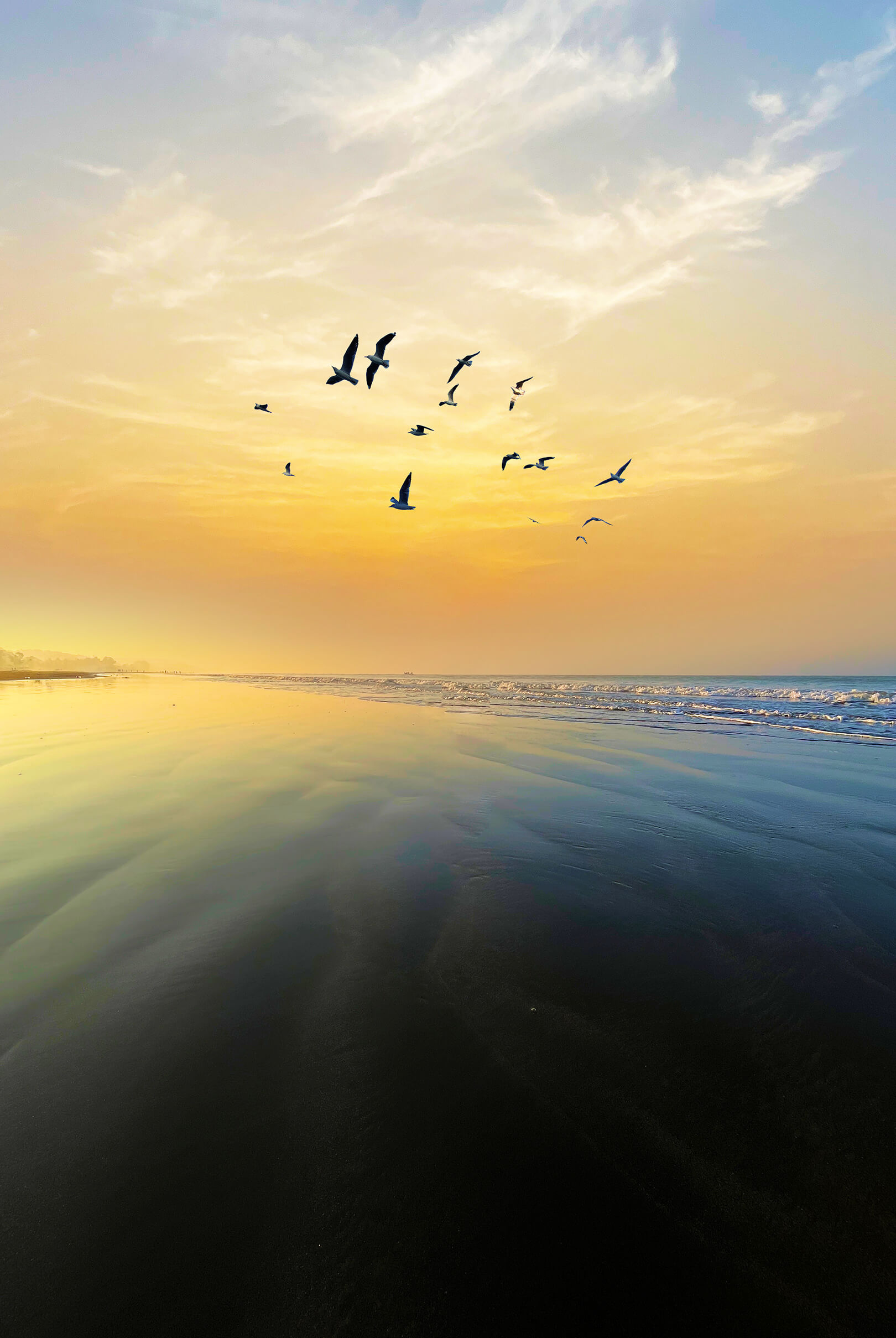 A flock of seagulls soars across a coastal environment, illuminated by a bright yellow sunrise