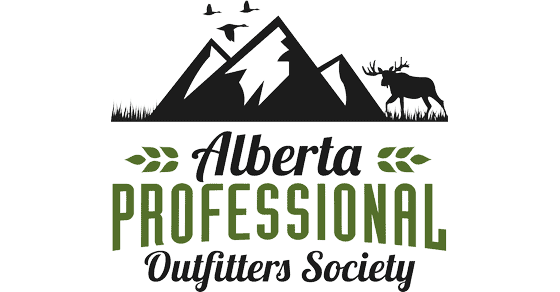 560x292-removebg-preview