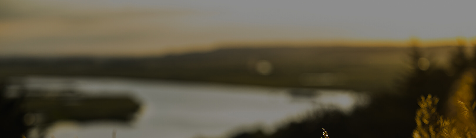 an artistically blurred wide shot of a river winding through a serene, empty environment