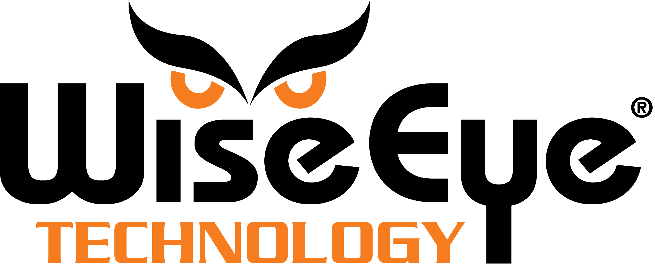 WiseEye Technology Logo