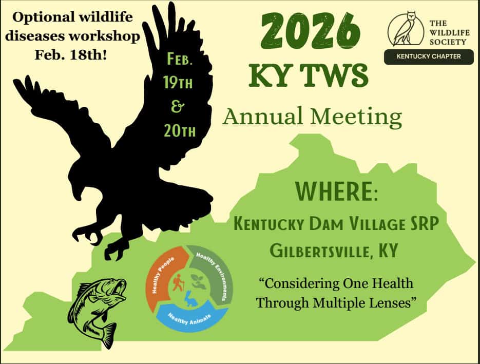 Screenshot 2025-11-29 192956