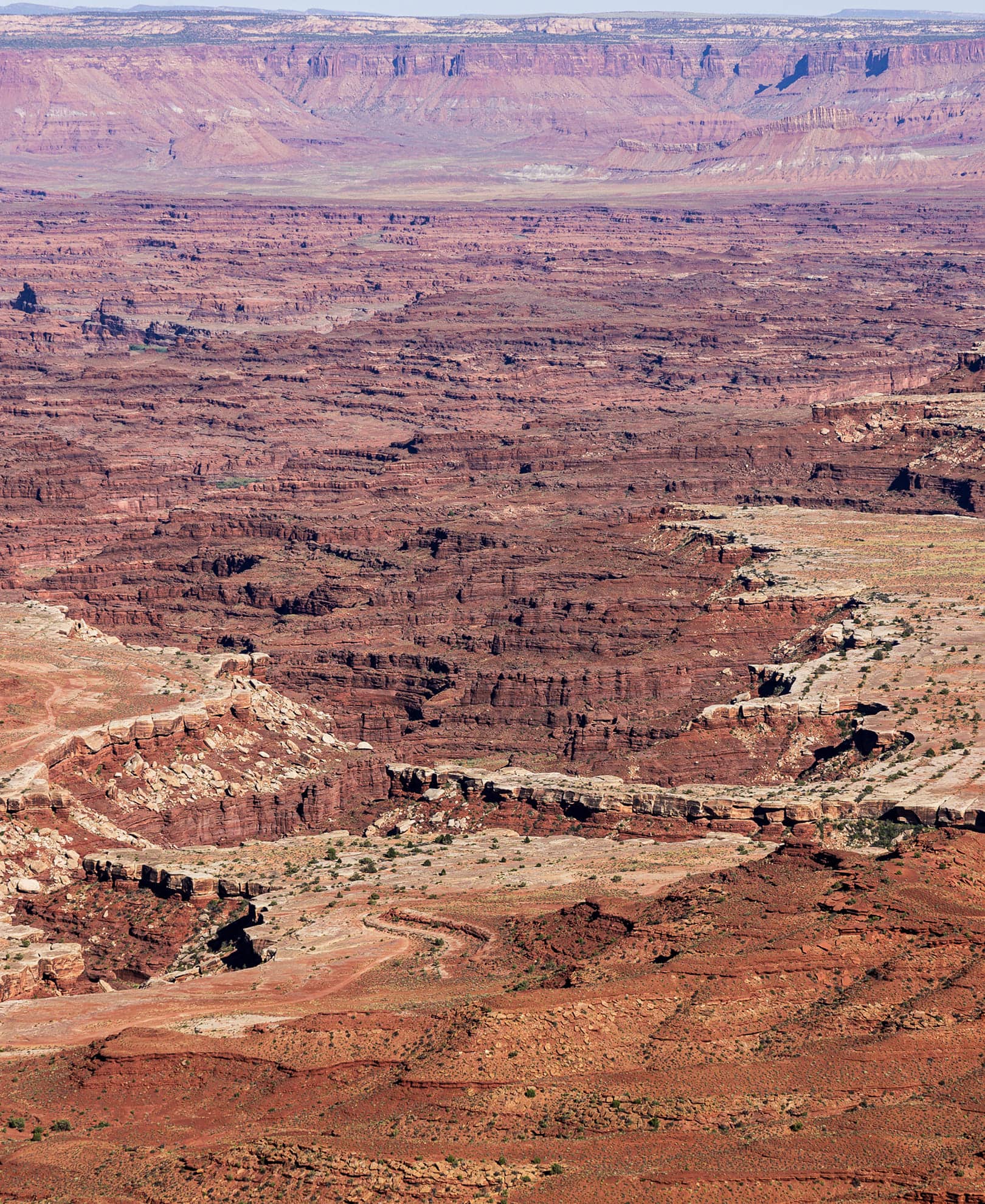 wide view of a vast, arid desert ecosystem