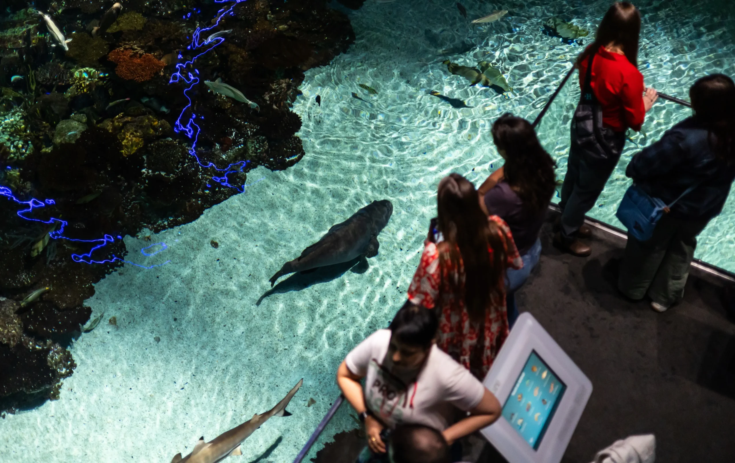 Marine biology students looking down into an aquarium exhibit with fish and marine animals swimming in a shallow, illuminated pool.