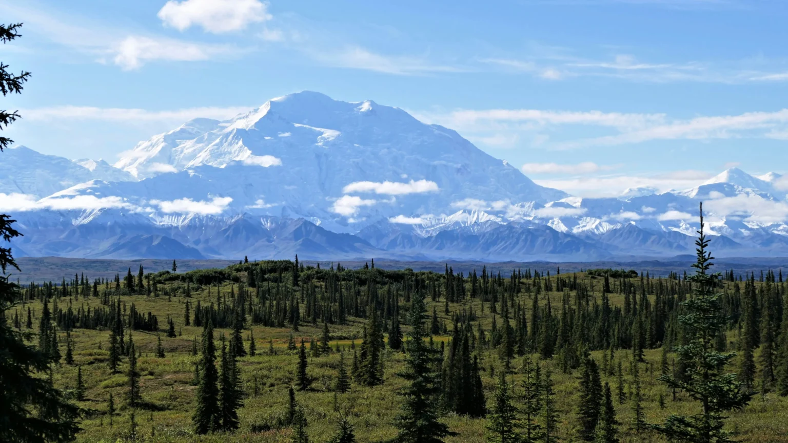 Mountain landscape and forest ecosystem representing protected public lands and the North American Model of Wildlife Conservation.