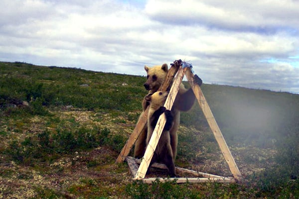 ©Tyler Jessen and Rianne Dietstraten