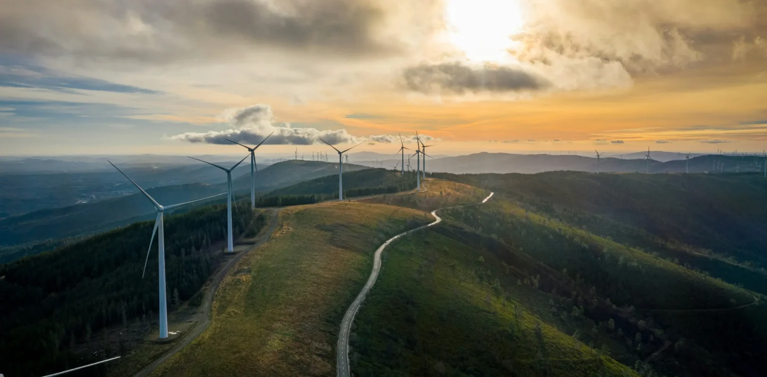 Wind turbines on a mountain ridge landscape showing renewable energy development in wildlife habita