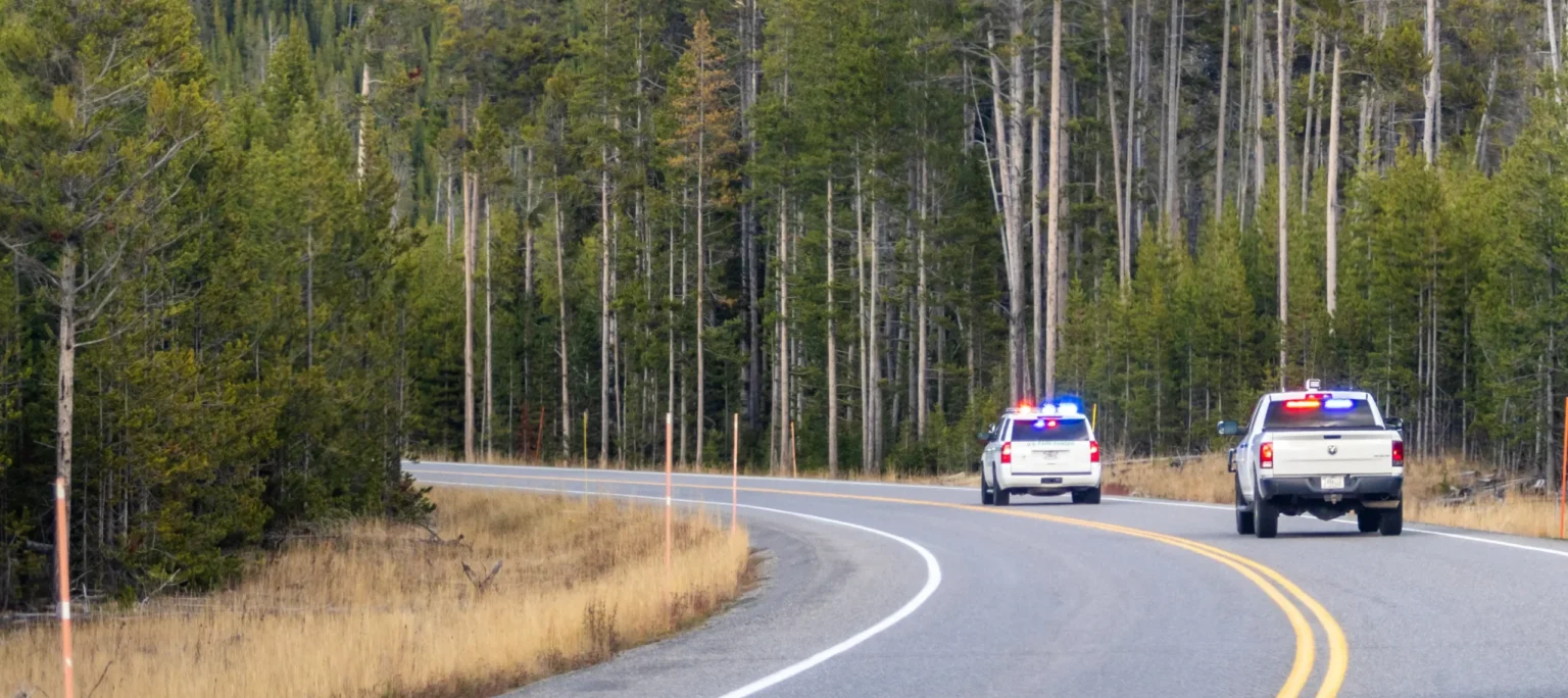 Wildlife conservation law enforcement vehicles driving along a forest road during a patrol to protect natural habitats and prevent illegal activity.
