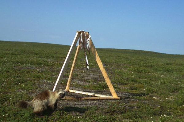 ©Tyler Jessen and Rianne Dietstraten