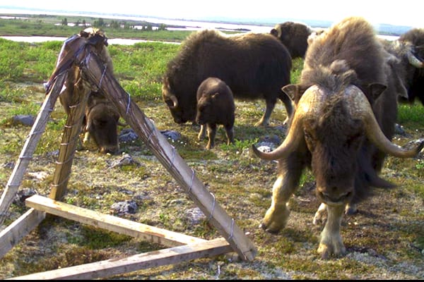 ©Tyler Jessen and Rianne Dietstraten