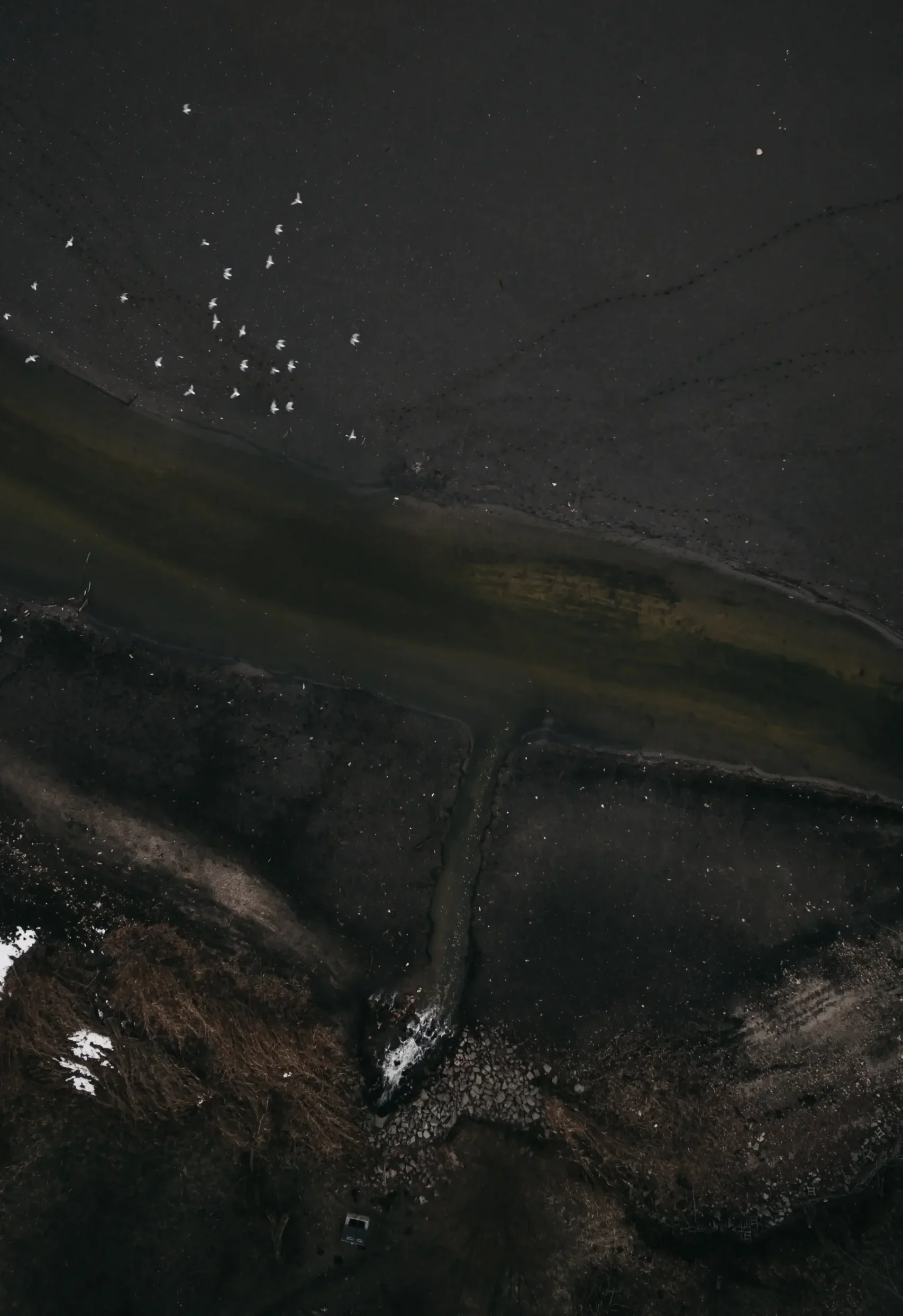 Aerial view of a flock of white birds flying over a dark coastal wetland landscape with shallow water channels and shoreline textures.