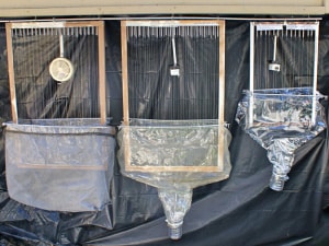 Sound-lure harp traps designed to capture rabid canyon bats evolved over time. An early model (top image, left trap) used a smoke alarm, while later, more-effective models included a 25 kHz sound unit (top image, center trap) then a 48 kHz unit (top image, right trap).  Image Credit: Denny Constantine